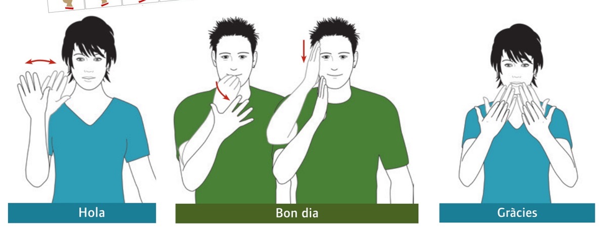 Taller Bàsic de Llengua de Signes Catalana